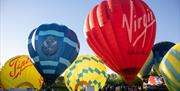 Hot air balloons in Telford Town Park arena