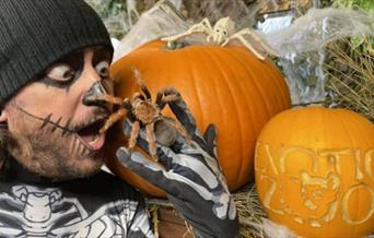 The director of Exotic Zoo holding a spider surrounded by pumpkins