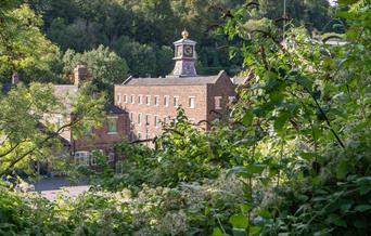 Coalbrookdale Museum of Iron buildings pictured through trees and greenery