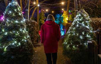 Festive Winter Gardens at Telford Town Park