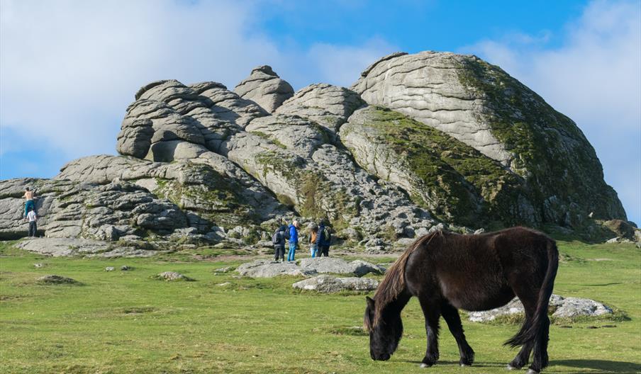 Dartmoor National Park