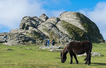 Dartmoor National Park