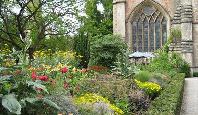 "Rare Plant Fair" at The Bishop's Palace and Gardens, Wells