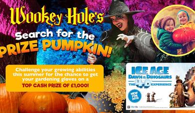 The Wookey Hole Caves Pumpkin Competition