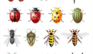 Family Fun Friday - Brilliant Bugs