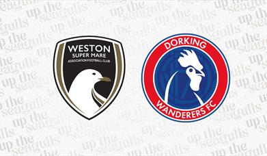 Weston-super-Mare AFC versus Dorking Wanderers