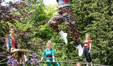 A high wire circus performer