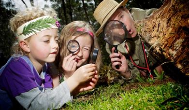 Family Fun Friday - Creepy Crawlies'