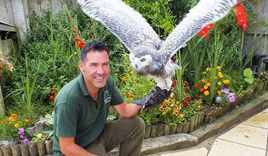 Conservation with Gary the Falconer and his Team at Puxton Park