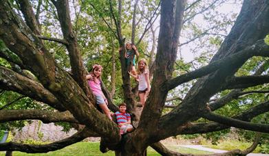 Easter Trail April 2020