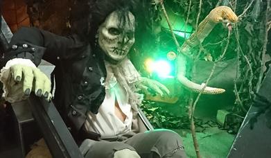 Halloween Family Fun Day