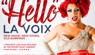 Hello La Voix