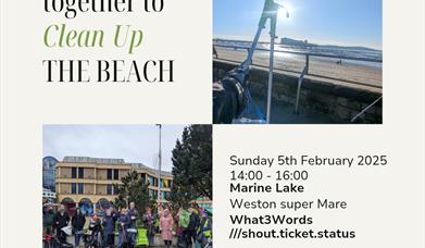 Beach Clean and Litter Picking Event - Sophie's SUPER Litter Picking group