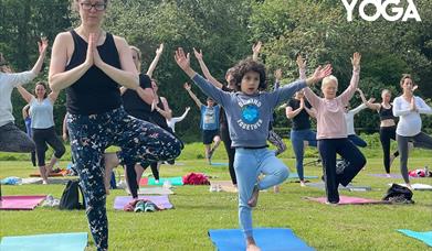 A group of people of all ages doing yoga outside in a park