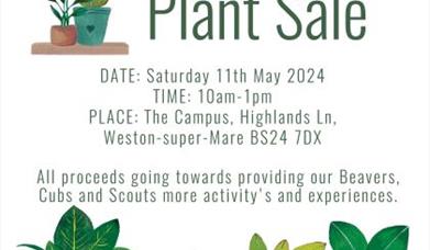 1st Weston Village Scout Group Plant Sale