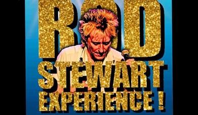 Image of a Rod Stewart tribute act with the words Rod Stewart Experience written in Gold