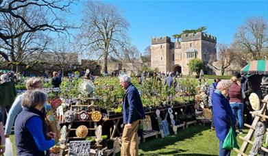 Rare Plant Fair 2024