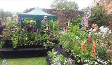 Rare Plant Fair
