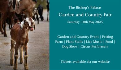 The Bishop's Palace Garden and Country Fair 2025