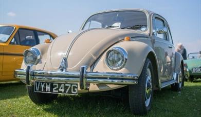 Clevedon Lions Brimar Classic Car Event