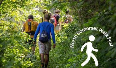 A group of ramblers on a narrow wooded footpath