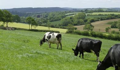 Blackdown Hills AONB