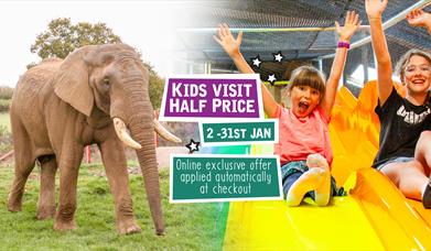 Kids Visit Half Price January