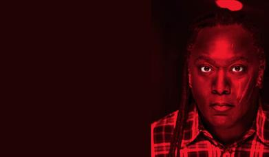 reginald d hunter weston-super-mare playhouse facing the beast tour