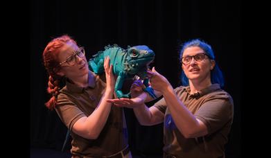 the zoo that comes to you