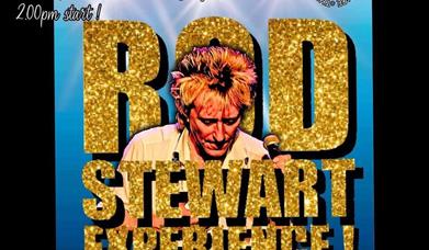 Image of a Rod Stewart tribute act with the words Rod Stewart Experience written in Gold