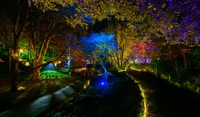 Grove Park at GLOW