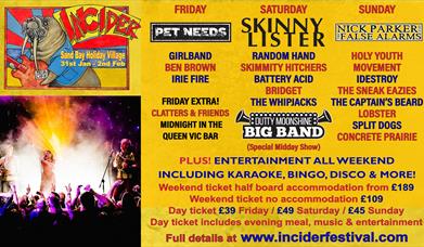 Poster featuring a walrus, a photo of a performer on stage and lots of text to advertise a weekend music festival at Sand Bay near Weston-super-Mare