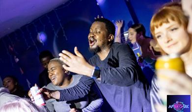 A group of adults singing karaoke in an adults soft play party night