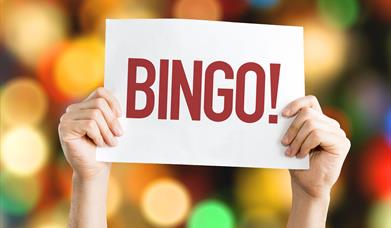 Two hands holding up a bingo card with the word bingo on it