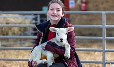 A girl sitting in front of a five-bar farm gate nursing a lamb on her lap at the Court Farm visitor attraction in Weston-super-Mare