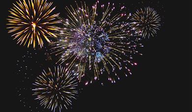 Fireworks against the night sky