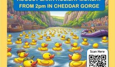 Cheddar lions annual duck race
