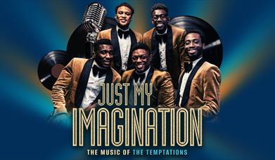 5 band members posing behind the Just My Imagination logo with stage lights shining in the background.