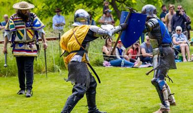 Knight's Tournament at The Bishop's Palace