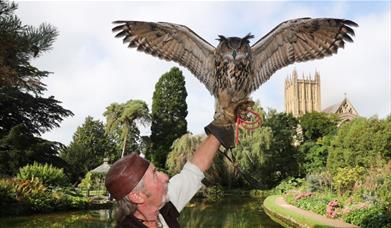 Medieval Falconry Day at The Bishop's Palace