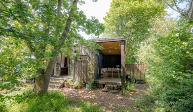 A log cabin set in a clearing in woodland