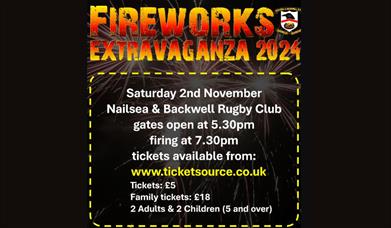 Fireworks Night Nailsea