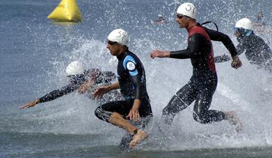 Four runners entering the water for a triathlon