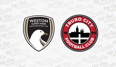 Weston-super-Mare AFC versus Truro City