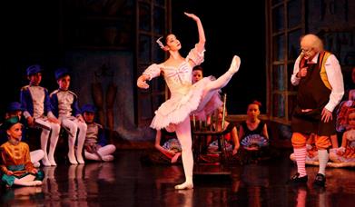 Coppelia