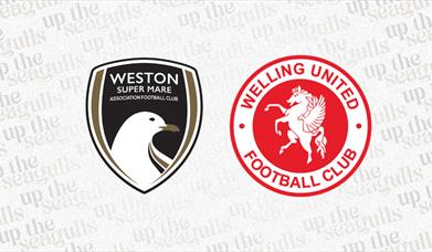 Weston-super-Mare AFC versus Welling United