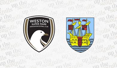 Weston-super-Mare AFC versus Weymouth