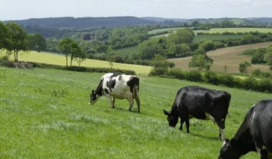 Blackdown Hills AONB