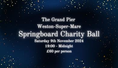 Sparkly poster highlighting the Springboard Charity Ball's details