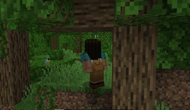 Minecraft club